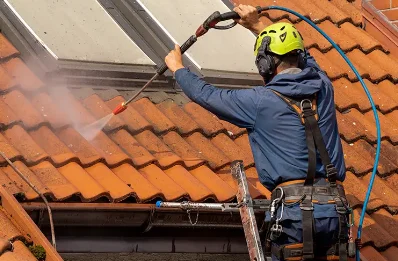 Démoussage et hydrofuge de toiture à Saint-Fargeol